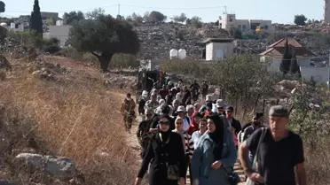 İsrail, Filistinli Çiftçilerin Zeytin Hasadını Engelliyor