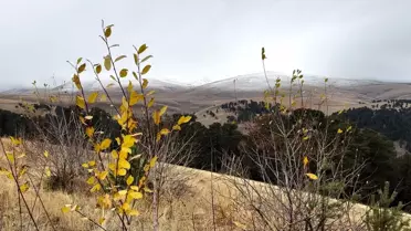 Sarıkamış'ta Kar Yağışı Etkili Oldu