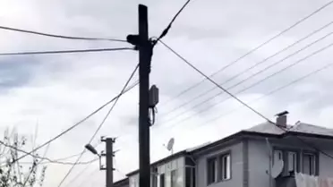 Düzce'de Sokak Köpeklerinden Kaçan Kedi, Kurtarıldı