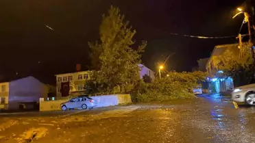 Bitlis'te Şiddetli Rüzgar Ağaç Devrildi, Araç Hasar Gördü