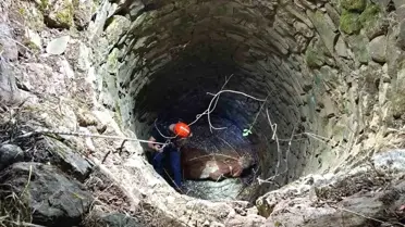 Siirt'te Su Kuyusuna Düşen İnek Kurtarıldı