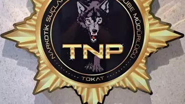 Tokat'ta Uyuşturucu Operasyonu: 500 İçim Bonzai Ele Geçirildi