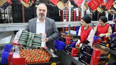 Ukrayna'dan Domates ve Salatalık İhracatına Damping Kararı