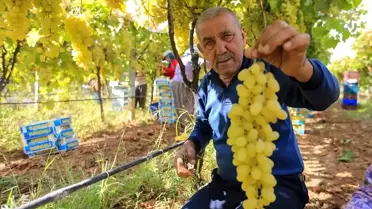 Yüksek Maliyetler Üreticiyi Zorladı