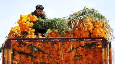Meksiko'da Ölüler Günü Kutlamaları