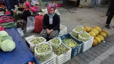 Edremit'te Kırma Zeytin Geleneği