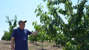 Eskişehir'de 606 Çiftçiye 55 Milyon Lira Destek