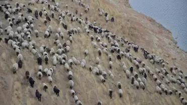 Göçerlerin Dönüş Yolculuğu Başladı