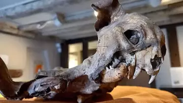 Kilisenin duvarları arasından çıktı, tarihçileri dahi şaşırttı