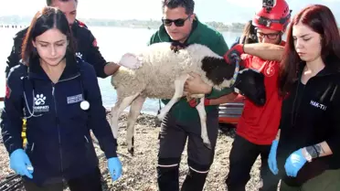İzmir'de Sel Tatbikatı Gerçekleştirildi
