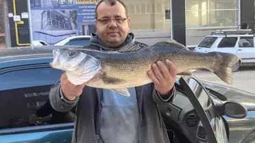 6 Kilogramlık Levrek Amatör Balıkçının Oltasına Takıldı