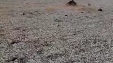 Yıldırım Düşmesiyle Yaralandı