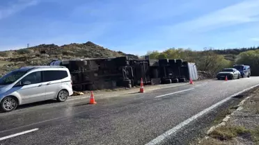 Haymana'da Tır Devrildi: 2 İnek Telef Oldu