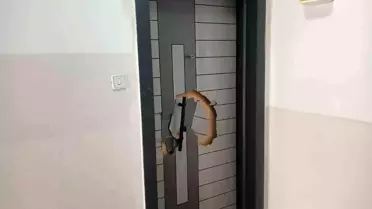 Ankara'da Komşusunu Vuran Zanlı Gözaltında