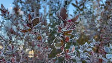 Ardahan'da Eksi 10 Derece Soğuk