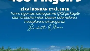 Çiftçilere 20,4 Milyar Lira Zirai Don Desteği