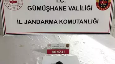 Gümüşhane'de Uyuşturucu Operasyonları