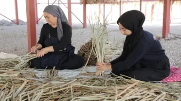Su Sümbülleri Kadınların Ekonomisine Katkı Sağlıyor