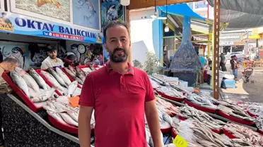 Dörtyol'da Köpek Balığı Heyecanı