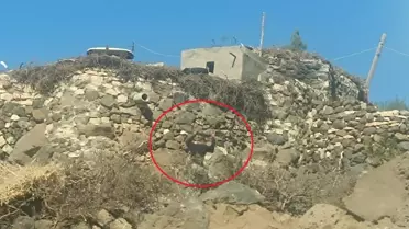 Mazıdağı'nda Aileler Arasında Kavga: 4 Yaralı