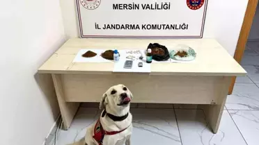 Mersin'de Uyuşturucu Operasyonu