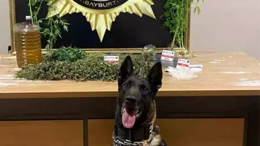 Bayburt'ta Uyuşturucu Operasyonu