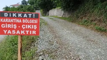 O kentimizde şap hastalığı paniği! Çok sayıda mahalle karantinaya alındı