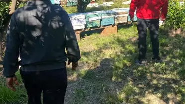 Ortaca'da Arı Kovanı Tespit Çalışmaları