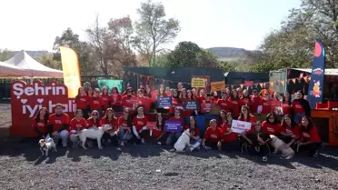 Akbank Gönüllü Gençlerle Hayvanlara Destek