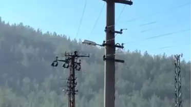 Trafik Ceza Anlaşmazlığı İntihara Sürükledi