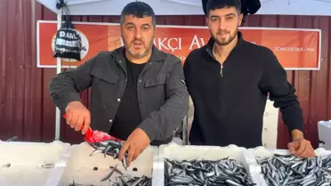 Zonguldak'ta Hamsi Fiyatları Düşüşte