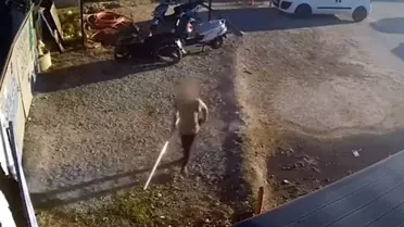 Didim'de Güvenlik Kamerasına Zarar Verildi