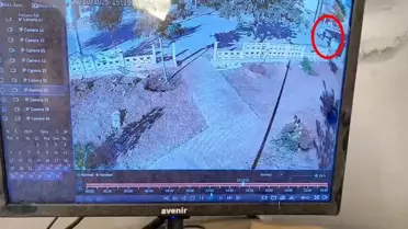 Çocuklar Park Duvarını Yıktı