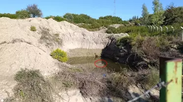 Serik'te Su Çukurunda Kadın Cesedi Bulundu