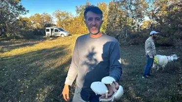 Bilecik'te Mantar Sezonu Başladı