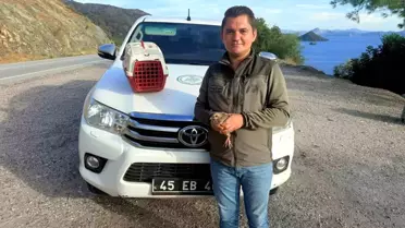 Datça'da Yasadışı Kınalı Keklik Satışına Ceza