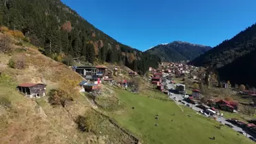 Ayder Yaylası'nda Sonbahar Renkleri