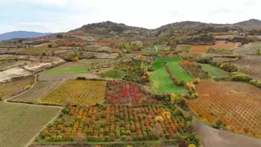 İnegöl'de Sonbahar Renkleri