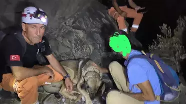 Datça'da Kaybolan Yürüyüşçü Kurtarıldı