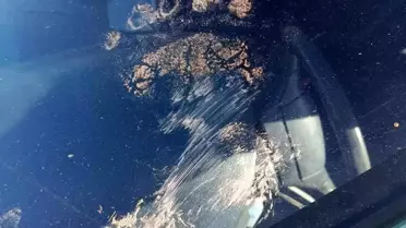 Gümüşhane'de Ayı Araçta Hasar Yaratmış