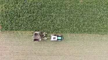 Kastamonu'da Kuraklığa Rağmen Pancarda Rekor Hasat