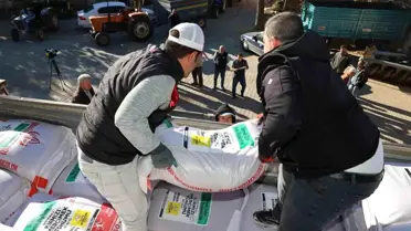 Konya'da Sertifikalı Mercimek Tohumu Dağıtımı Başladı