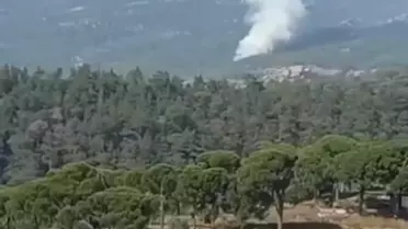 Muğla'da Orman Yangını: 1 Hektar Zarar