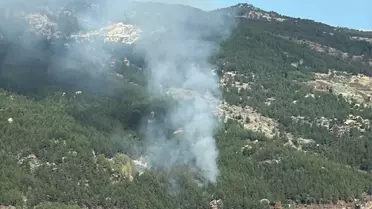 Kavaklıdere'de Orman Yangını