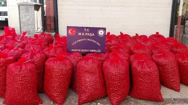 Bursa'da Hırsızlık Şüphelileri Yakalandı