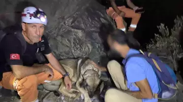 Datça'da Yürüyüşte Mahsur Kalan Genç Kurtarıldı