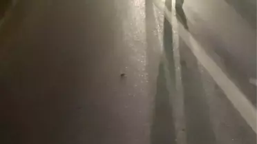 Kocaali'de Otomobil-Motosiklet Çarpıştı