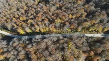 Nebiyan Dağı'nda Sonbahar Renkleri