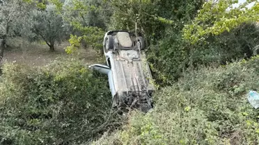 İznik'te Kaza: Sollama Yaparken Zeytinliğe Uçtu