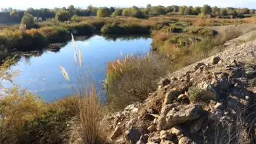Ehliyetsiz Sürücü Gölete Düştü